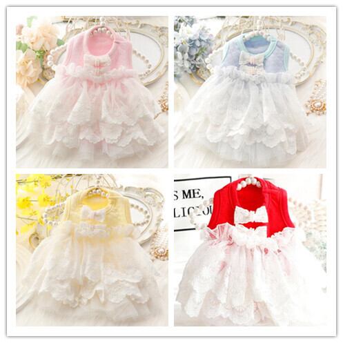 《予約》3101316 バリュエーションパーティドレス