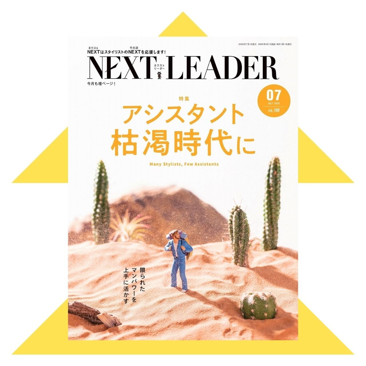 ネクストリーダー　美容師本　約80冊 まとめ売り2015から2022年 NEXT LEADER | 髪書房オンラインショップ