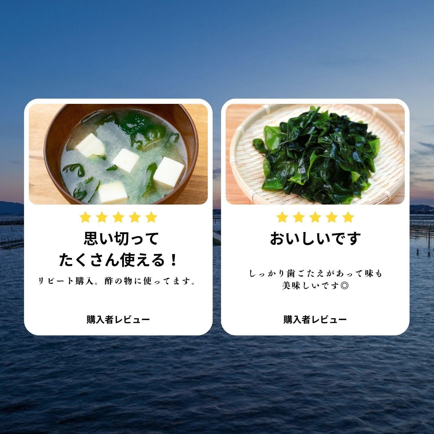 普代わかめ 80g | 潮宝食品