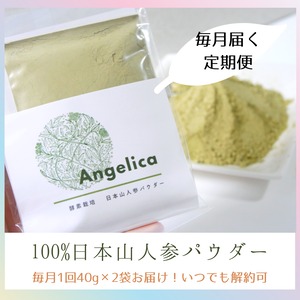 【毎月届く定期便】日本山人参100%パウダー40g×2袋