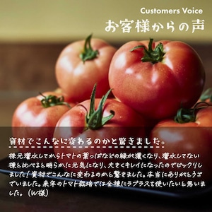 【超得】ラプラス - LaPlaS - まとめ買い10L　送料無料