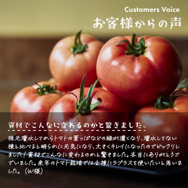 【超得】ラプラス - LaPlaS - まとめ買い10L　送料無料