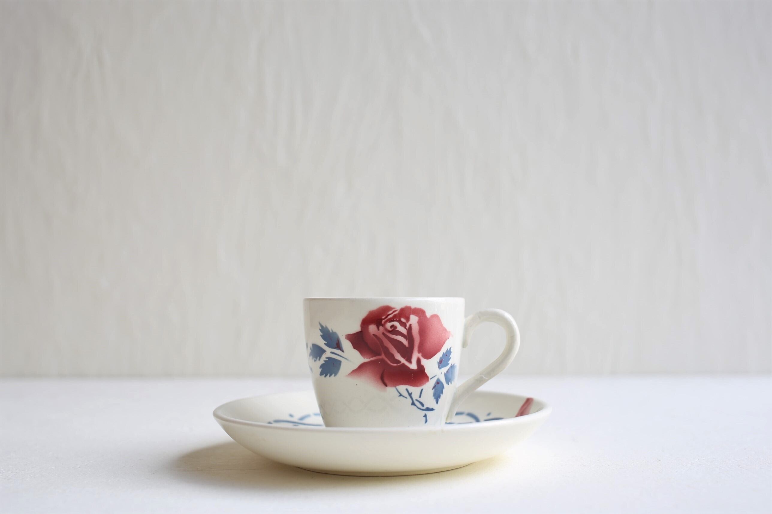 フランス アンティーク ヴィンテージ SARREGUEMINES サルグミンヌ 『JANINE』 カップ&ソーサーN-03569b