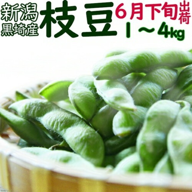 ☆数量限定特価（朝採り農園直送便 ）新潟ブランド 本場 人気 黒埼 枝豆 A級品 1kg 新潟黒埼産 朝どり 黒埼 枝豆 黒崎 新潟 枝豆お中元ギフト 新潟 お土産 枝豆 ギフト 【送料無料クール便発送いたします）枝豆 美味しい えだまめ