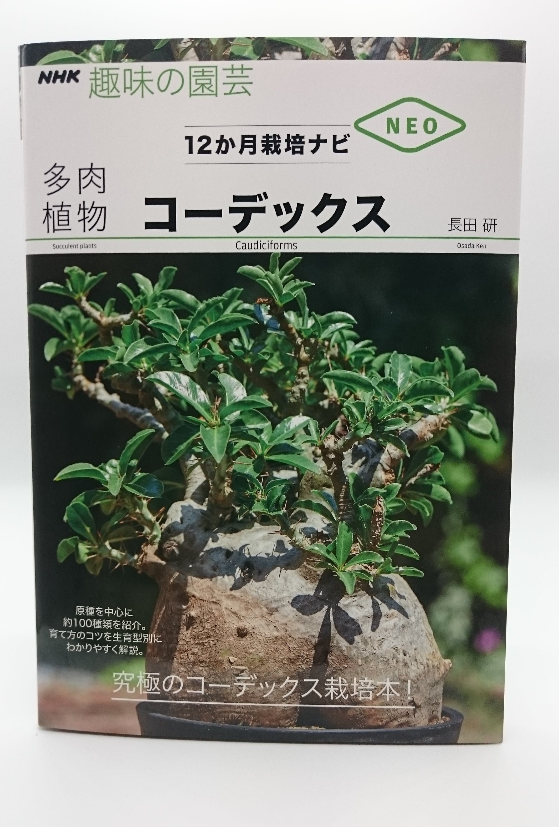 コーデックス (NHK趣味の園芸 12か月栽培ナビNEO) | 弥生坂 緑の本棚