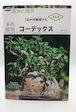 コーデックス (NHK趣味の園芸 12か月栽培ナビNEO)
