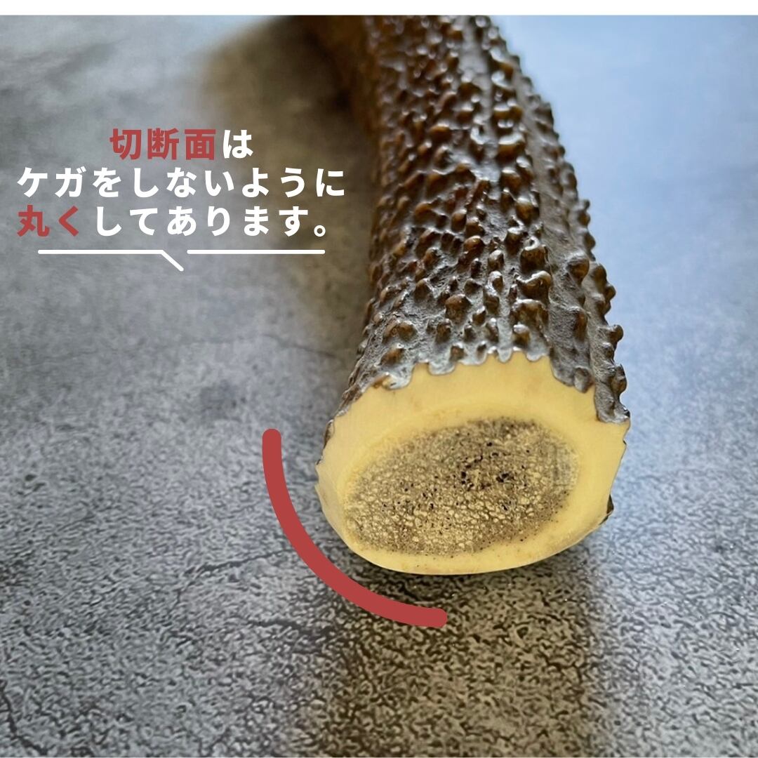 送料無料】北海道産蝦夷鹿の角 LLサイズ 1本 犬のおやつ おもちゃ 鹿角