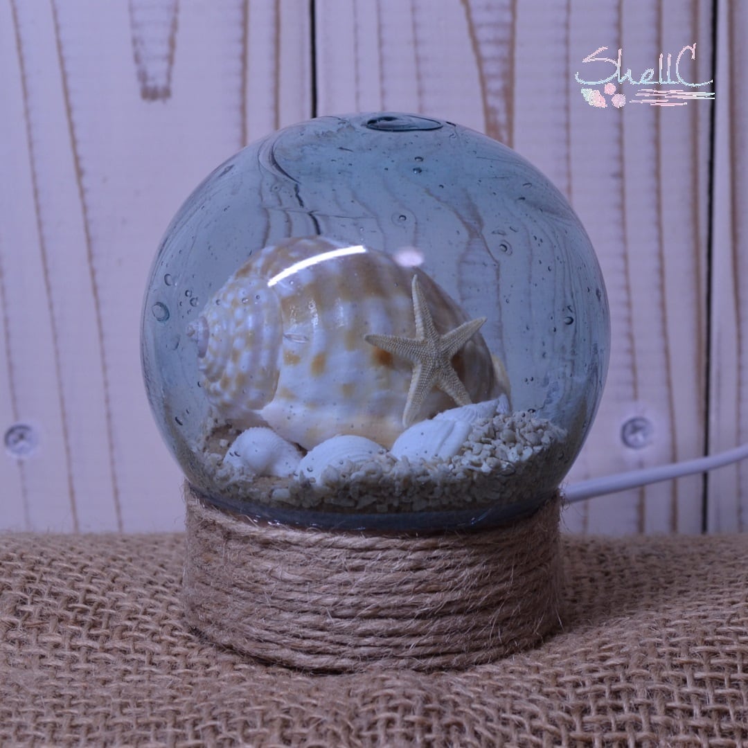 浮き球ランプ（M）イワカワトキワガイ