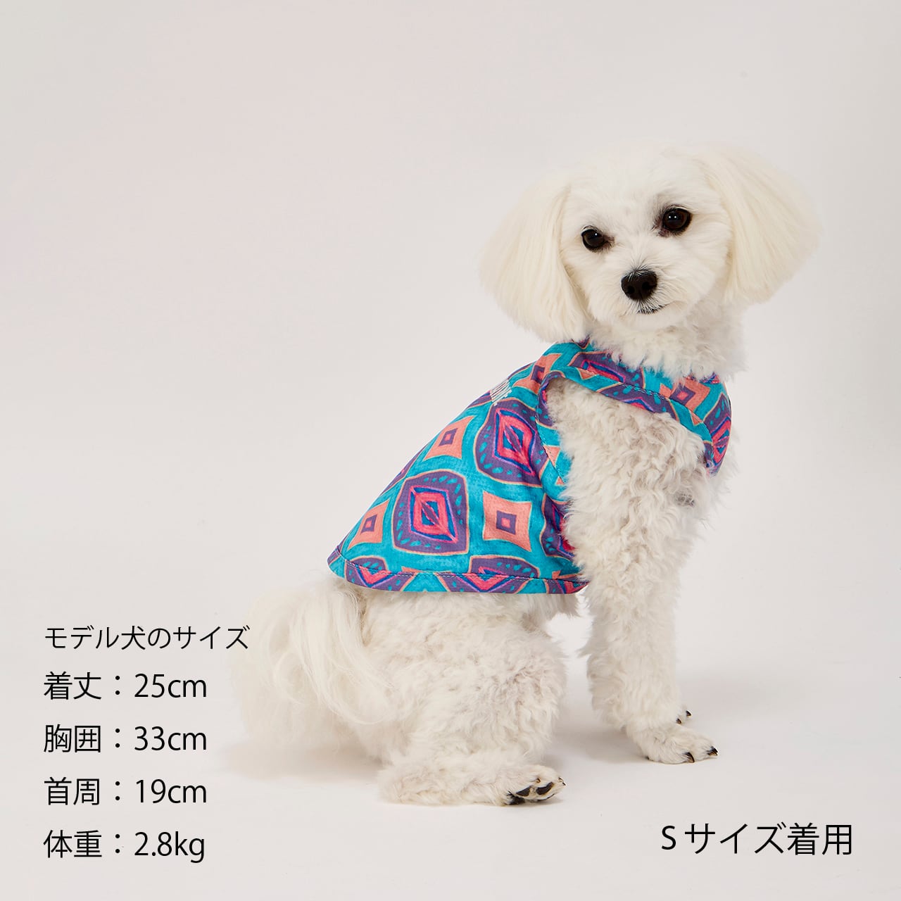 Thankyou★骨董犬服ブランド出品中様 CCL COOLING TANK（XS.S） CCLクーリングタンク マンダリンブラザーズ