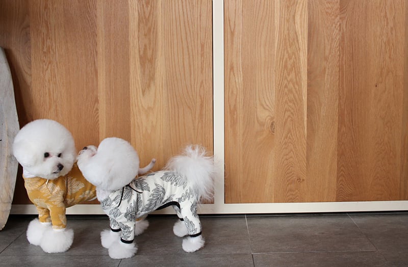 ブレンダオールインワン S ~ XL 2color  /  犬服 新作 ドッグウェア つなぎ 小型犬 中型犬 ペット用品 ペット洋服
