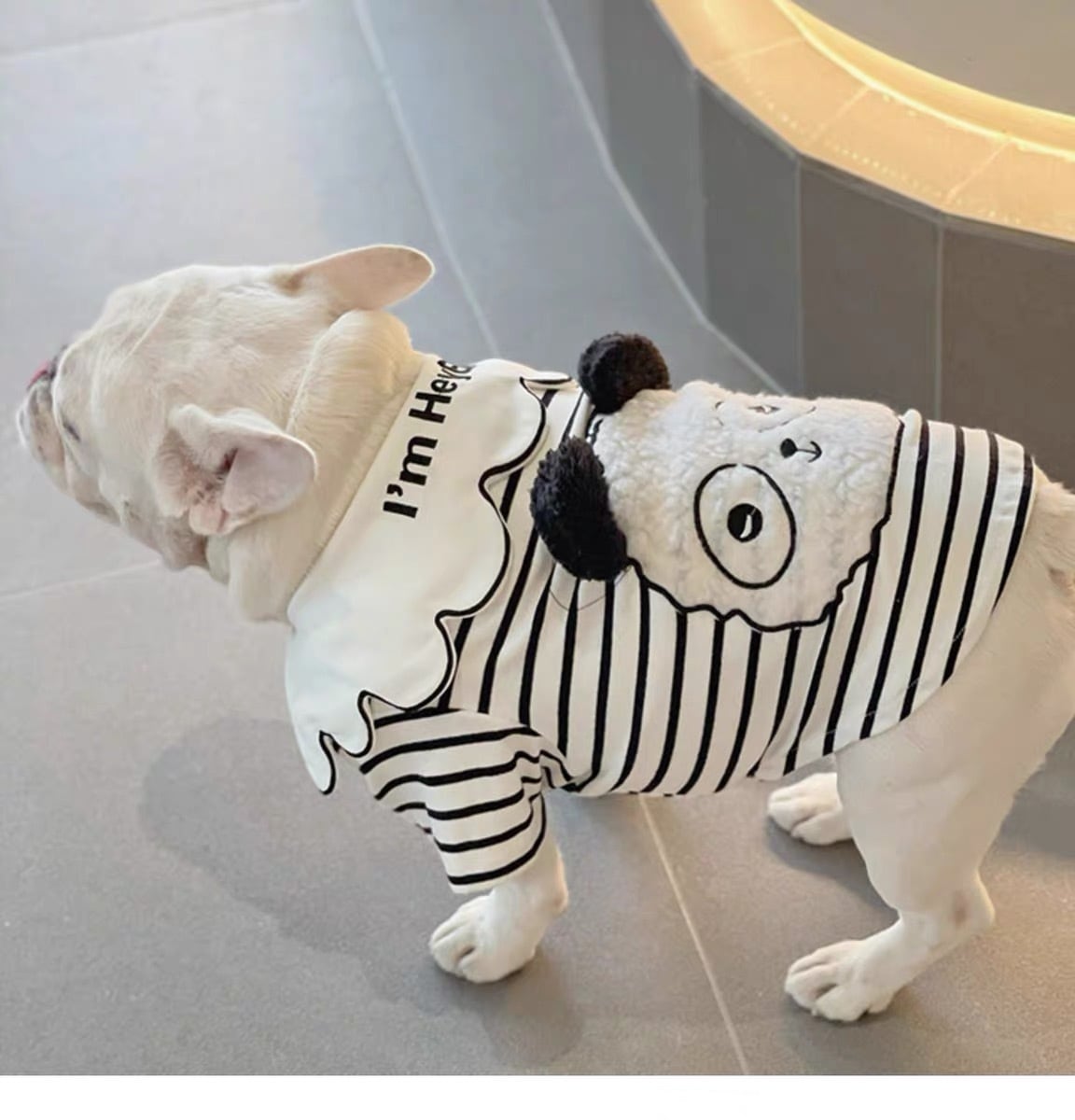 犬服 フレンチブルドッグ かわいい オシャレ パンタ模様 ボーダー