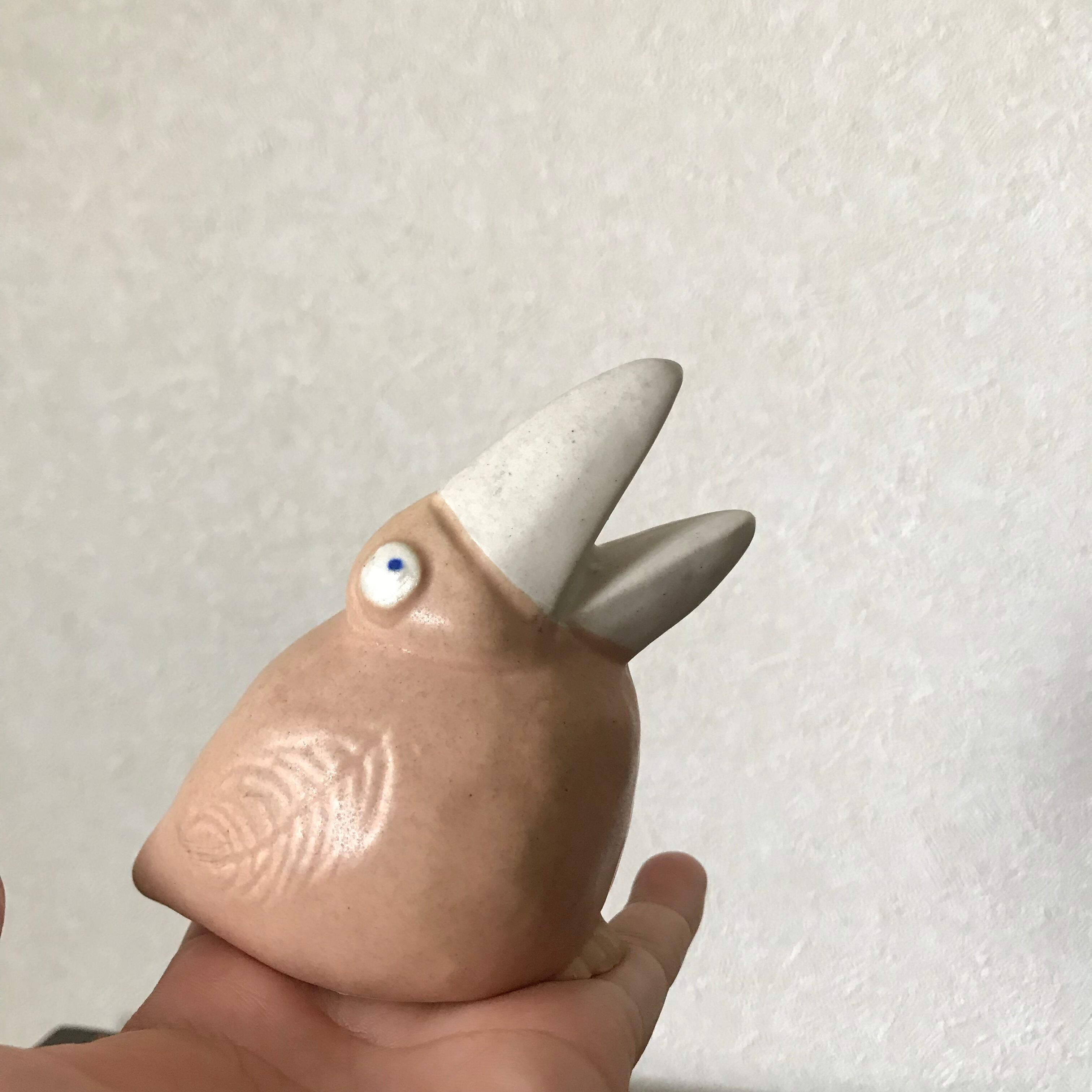 大きなくちばしの鳥