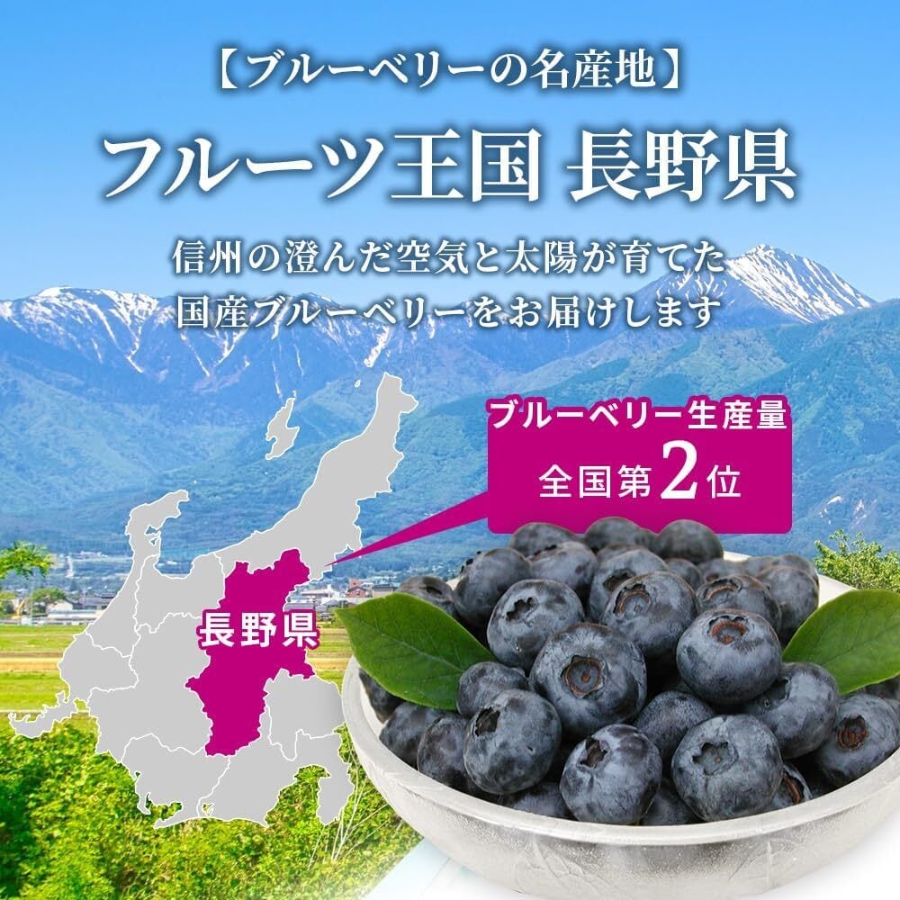 長野県産】生ブルーベリー（1kg） | 西村青果オンラインストア