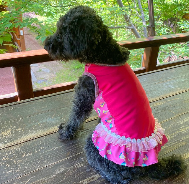 わんこ服小型犬用S "チェリーピンクのストレッチ布とチェック柄の絹スカート”B-3
