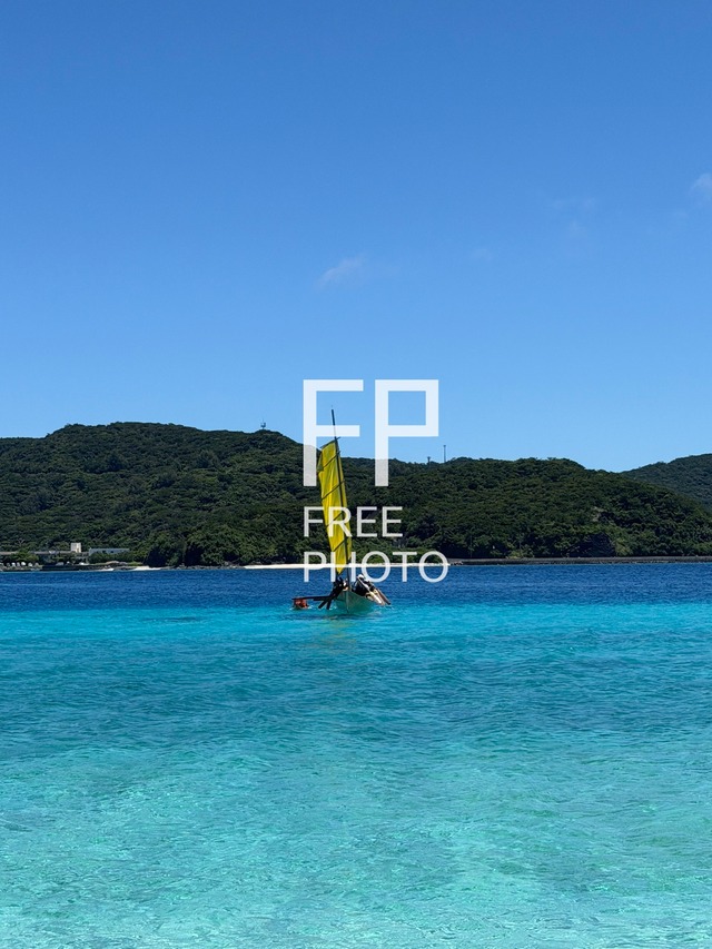 海