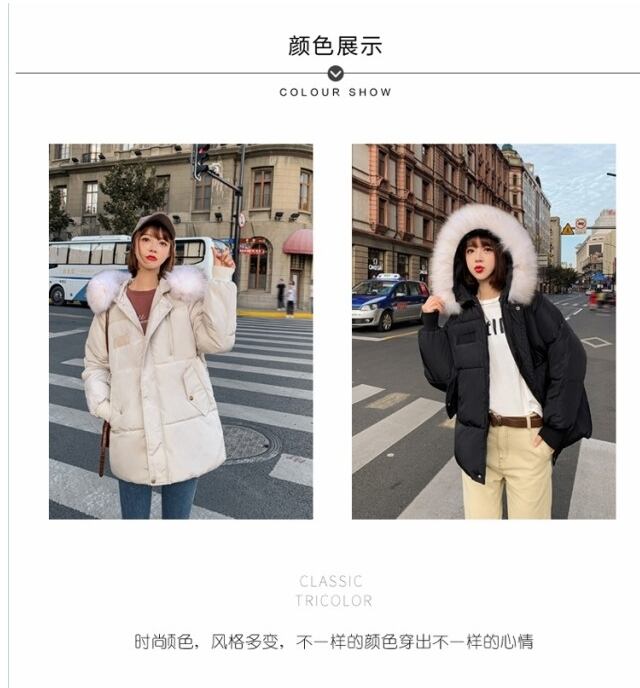 大きいサイズ レディース 春服 レディース 春 ブルゾン 薄手 ボンバー