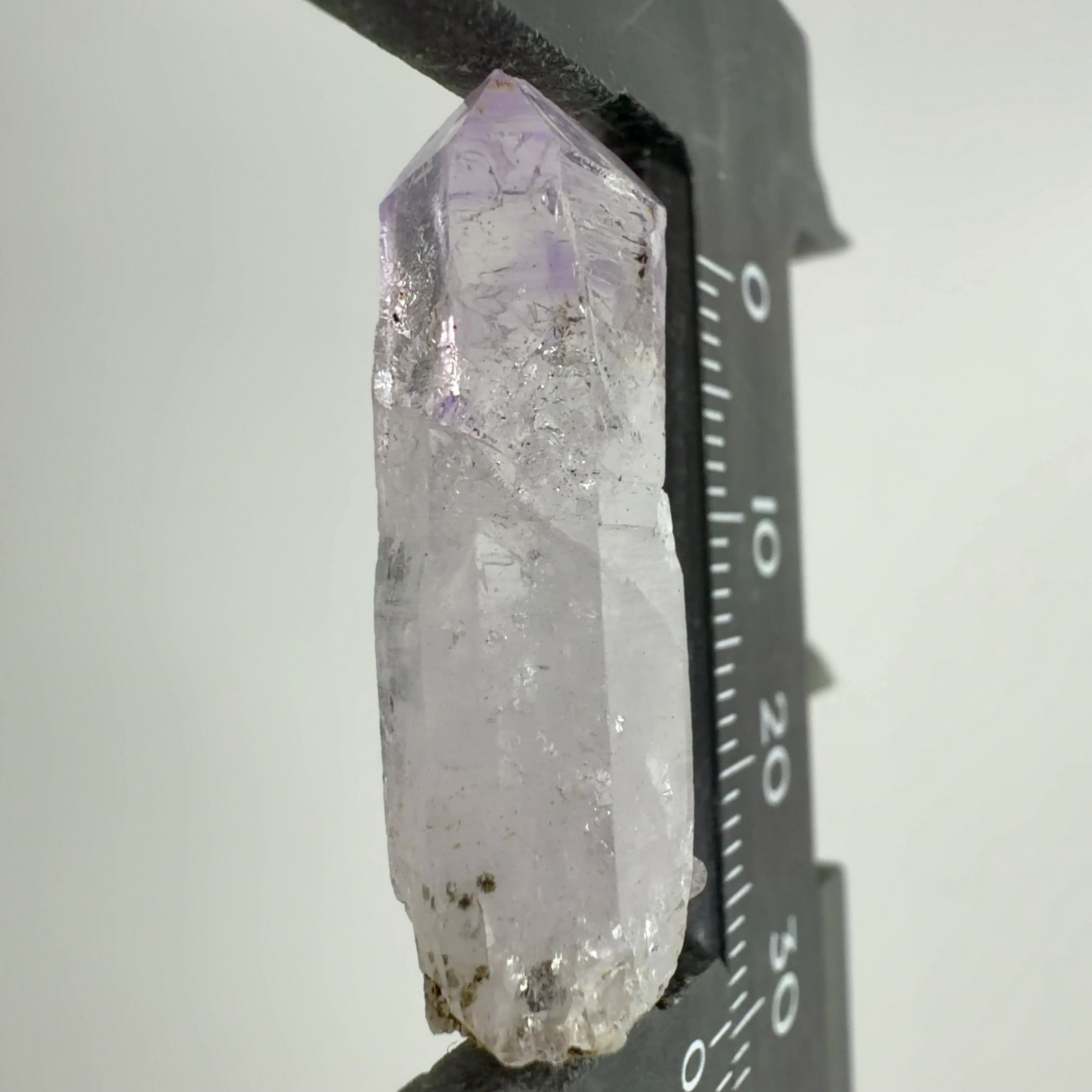 E33286】Aランク ベラクルスアメシスト ベラクルス アメシスト