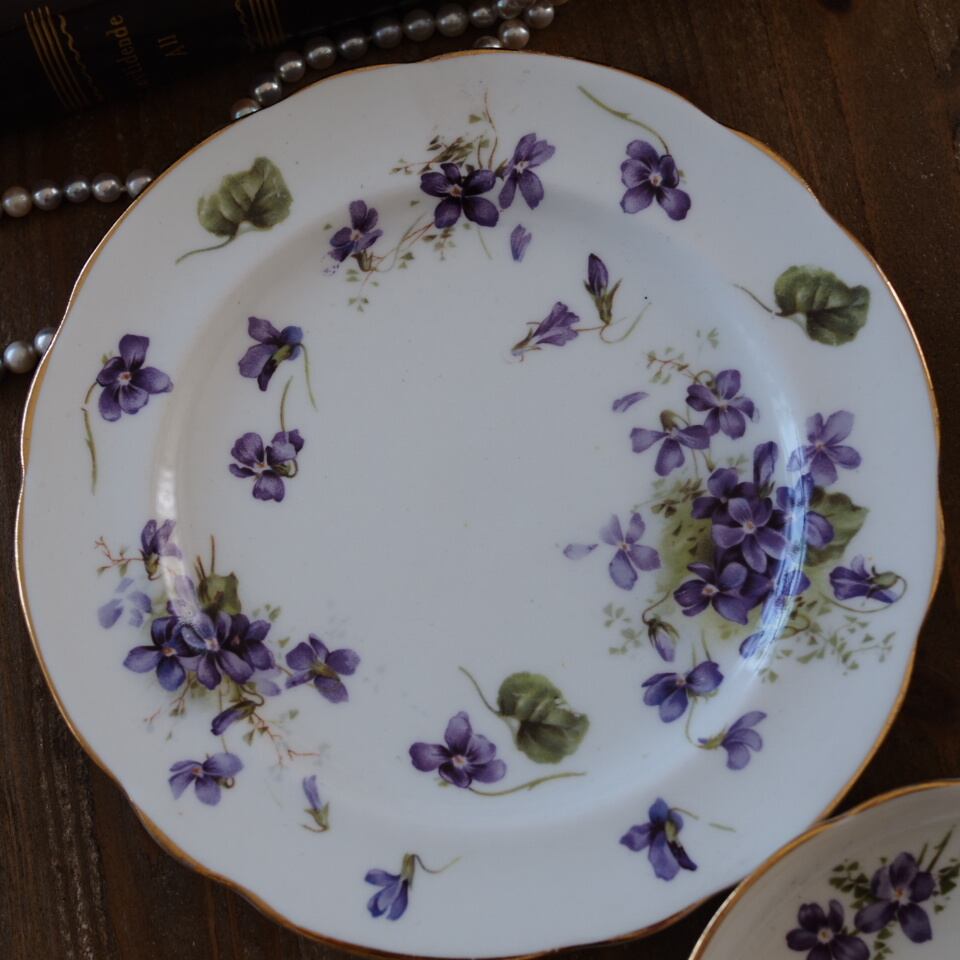 B_Hammersley Victorian Violets｜ハマースレイ ヴィクトリアン