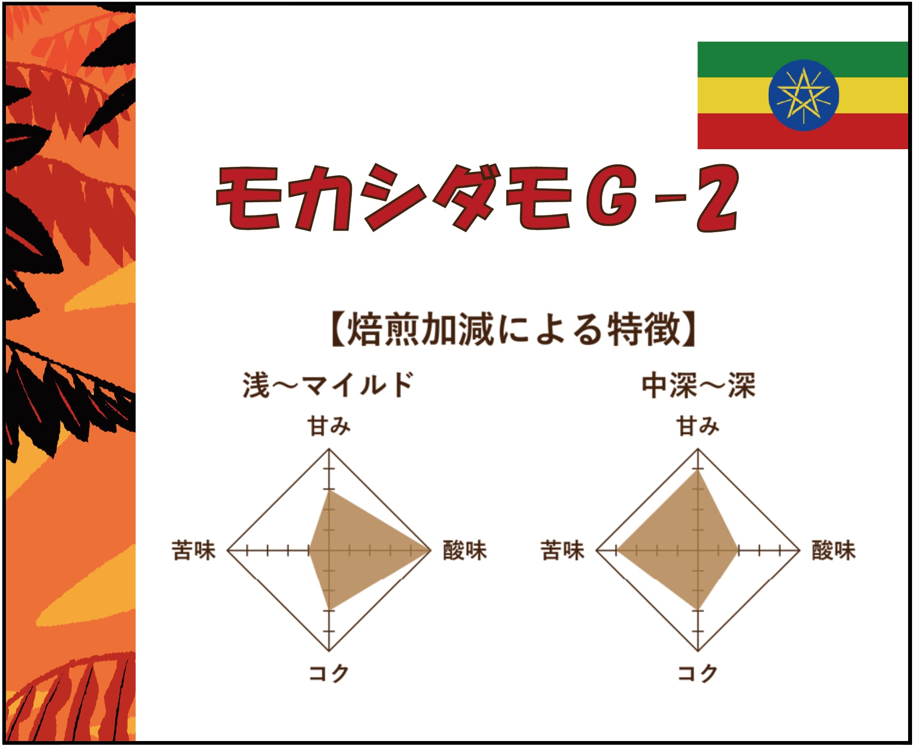【300g】エチオピア　モカシダモ