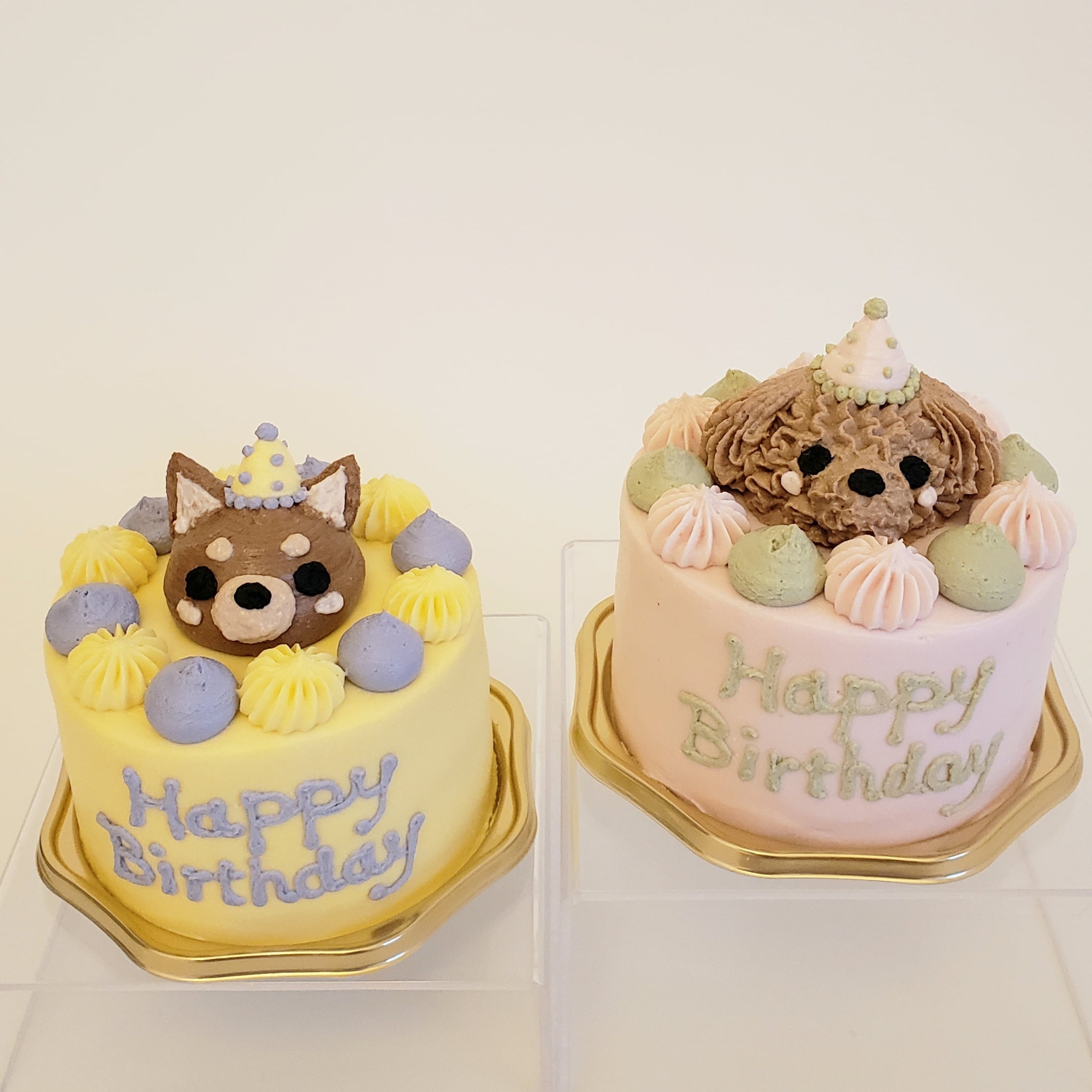 ワンちゃん乗せパーティーBDケーキ | Party Dog