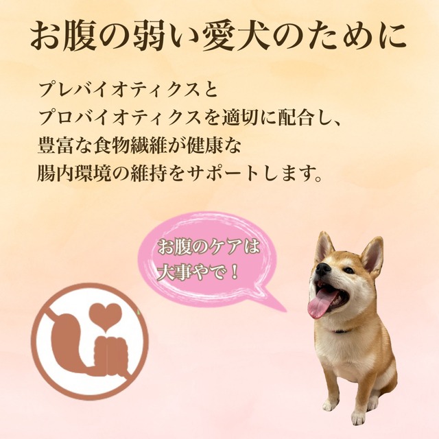Ok002 ワンクル サーモン 成犬用 3kg 600g 5袋セット Yggペット
