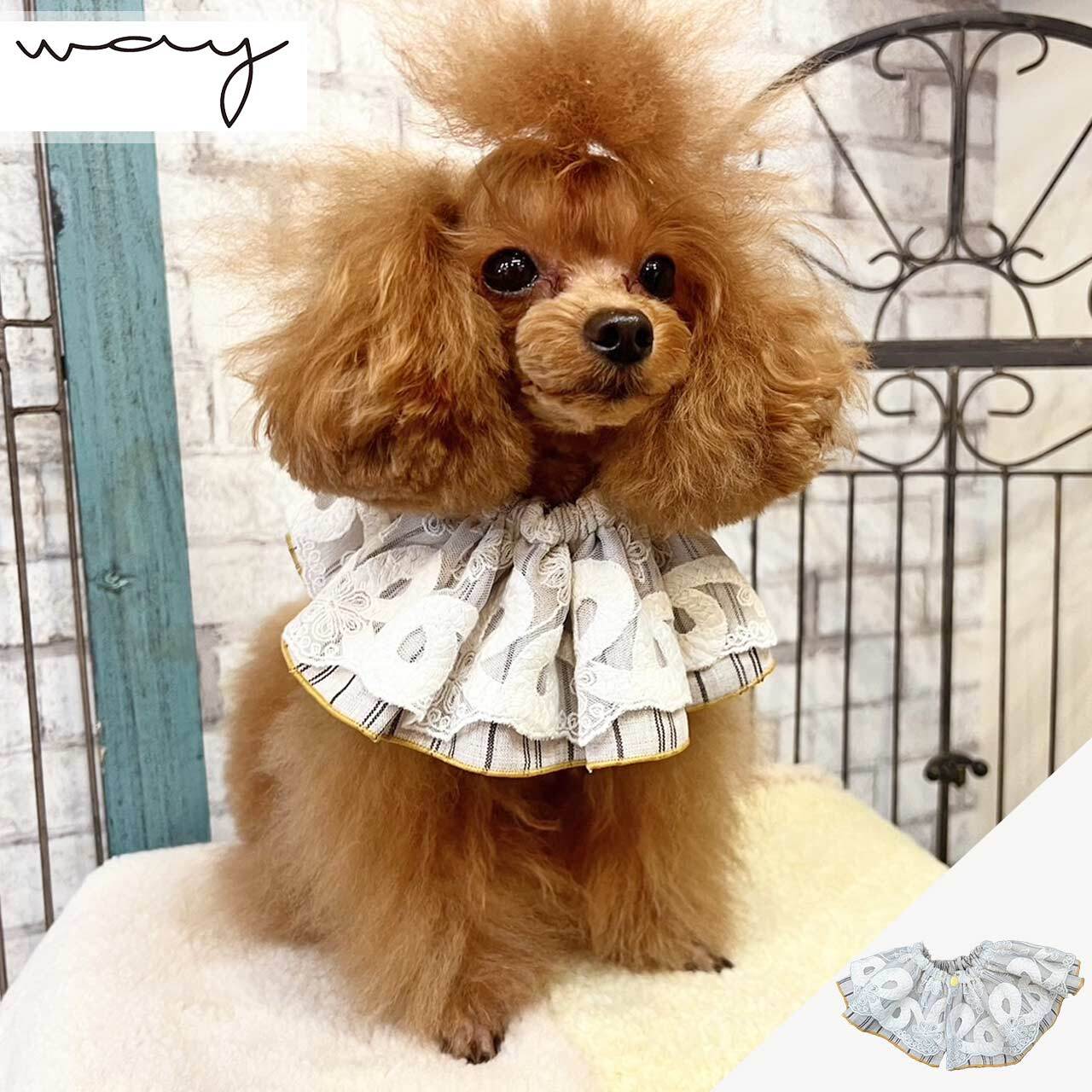 レースbib 【Way_Collection】（愛犬とお出かけ ビブ スタイ レース