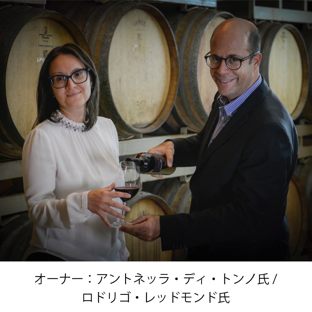 ディヴェルシタス ロルソ ペコリーノ | チャオネット｜イタリアワイン