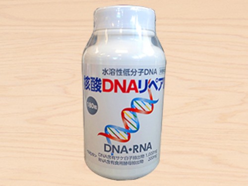 核酸DNAリペアル