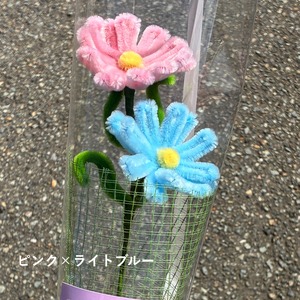 【秋季限定】kosmos／ コスモス | fuwafuwa flower