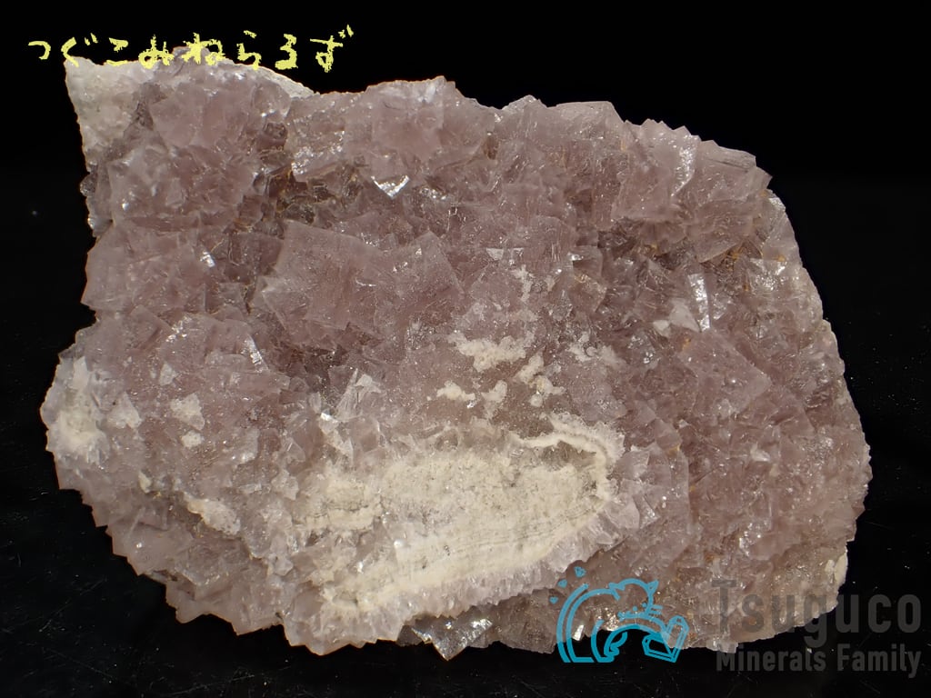 フローライト 蛍石 Fluorite チェコ TM-0036