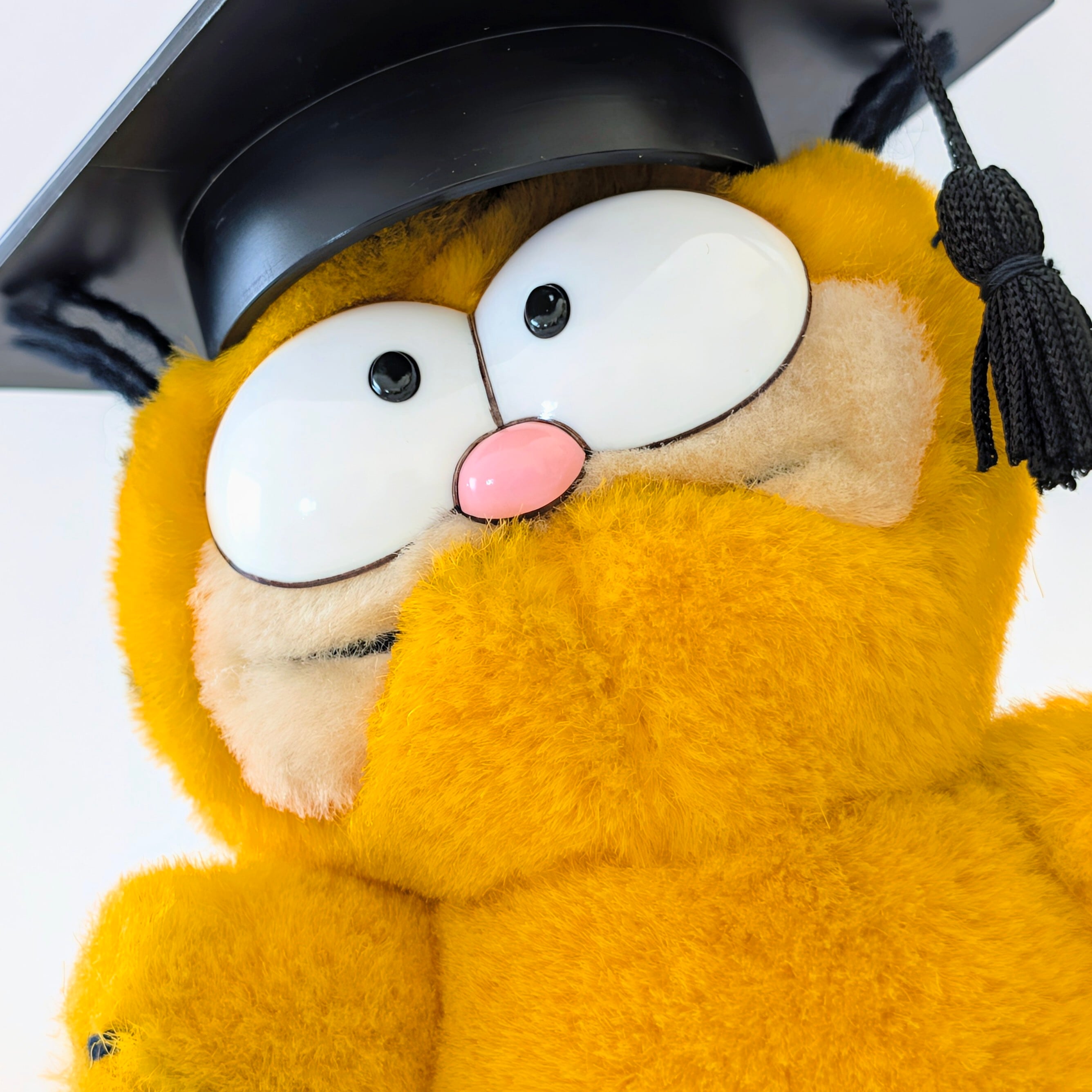 ☆ VINTAGE 1980年代初期☆【 Garfield ( ガーフィールド ) 】『 Garfield ガーフィールド 卒業式 ミニプラッシュ 』ぬいぐるみ / プラッシュ / plush / 1980年代年製 〚アメリカン雑貨 アメトイ〛