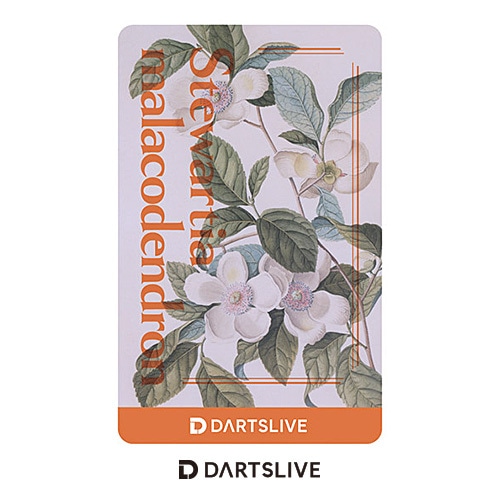 Darts Live Card [66]