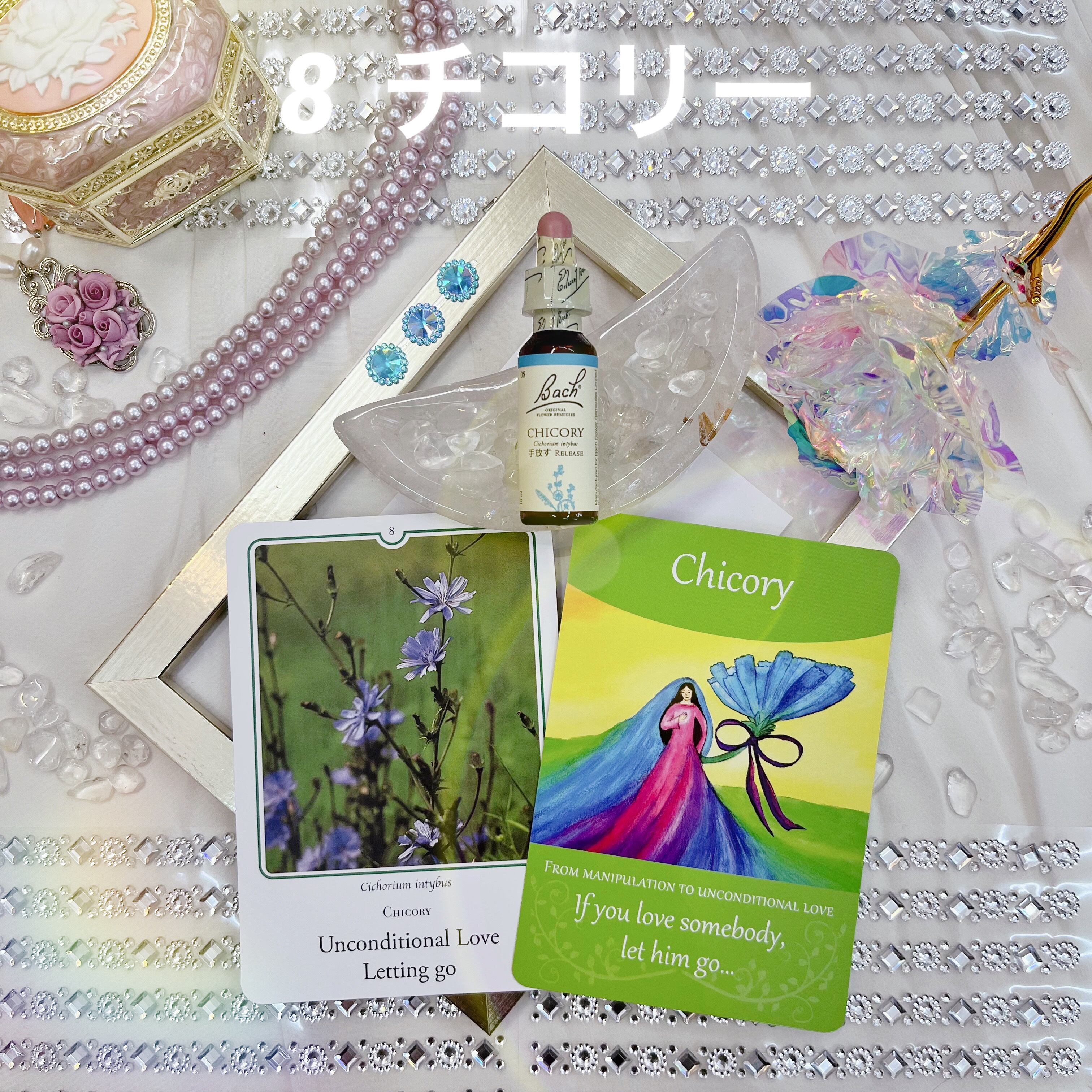 バッチフラワーレメディ ４本セット 選べてお得なバッチフラワーレメディ 4本セット