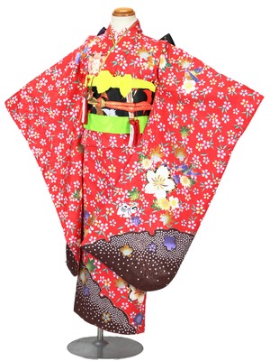 7歳女の子 AP2094