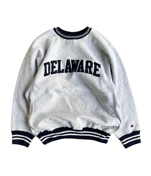 Vintage 90s XL Champion reverse weave sweatshirt -DELAWARE-