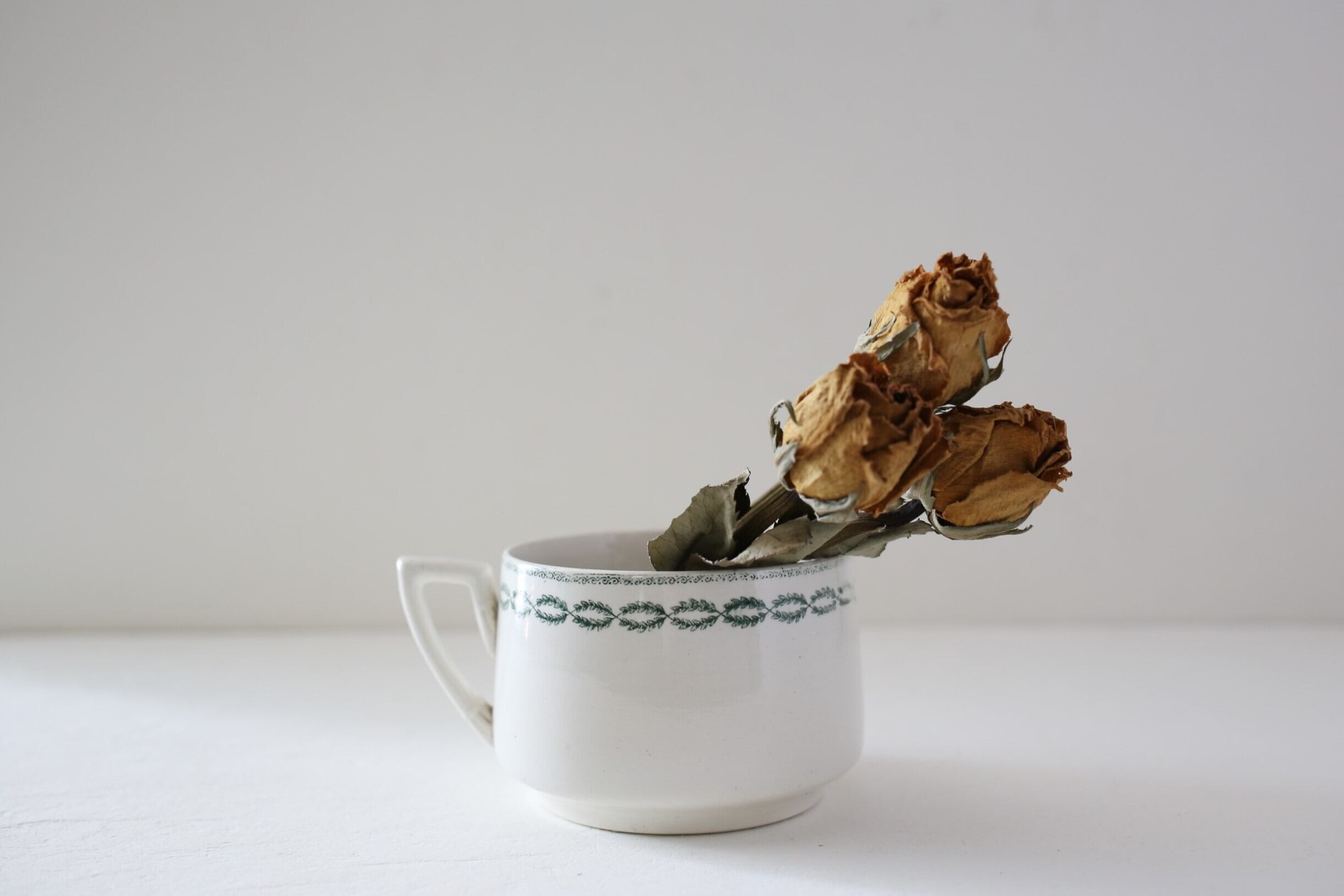 フランス アンティーク U&C SARREGUEMINES サルグミンヌ『NOBILIS』大きなカップ N-03573