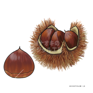 栗　chestnut