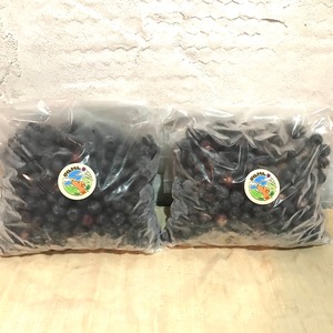 品種アーリーブルー2kg冷凍ブルーベリー 無肥料.無農薬