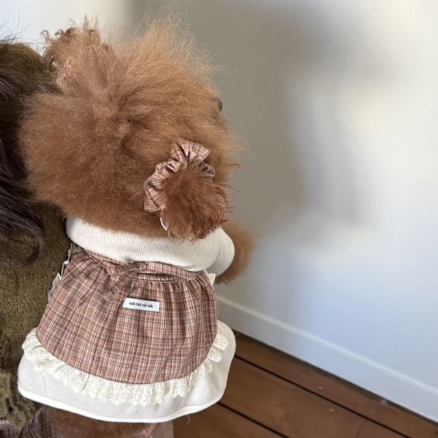 【即納】[tak!tak!tak!tak!] シュシュ(PET)/ Antique Check Series(Pet / 2ea)