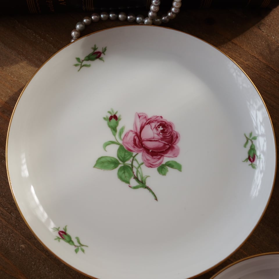 フュルステンベルグ ローズ トリオC カップ＆ソーサー F2 | antique