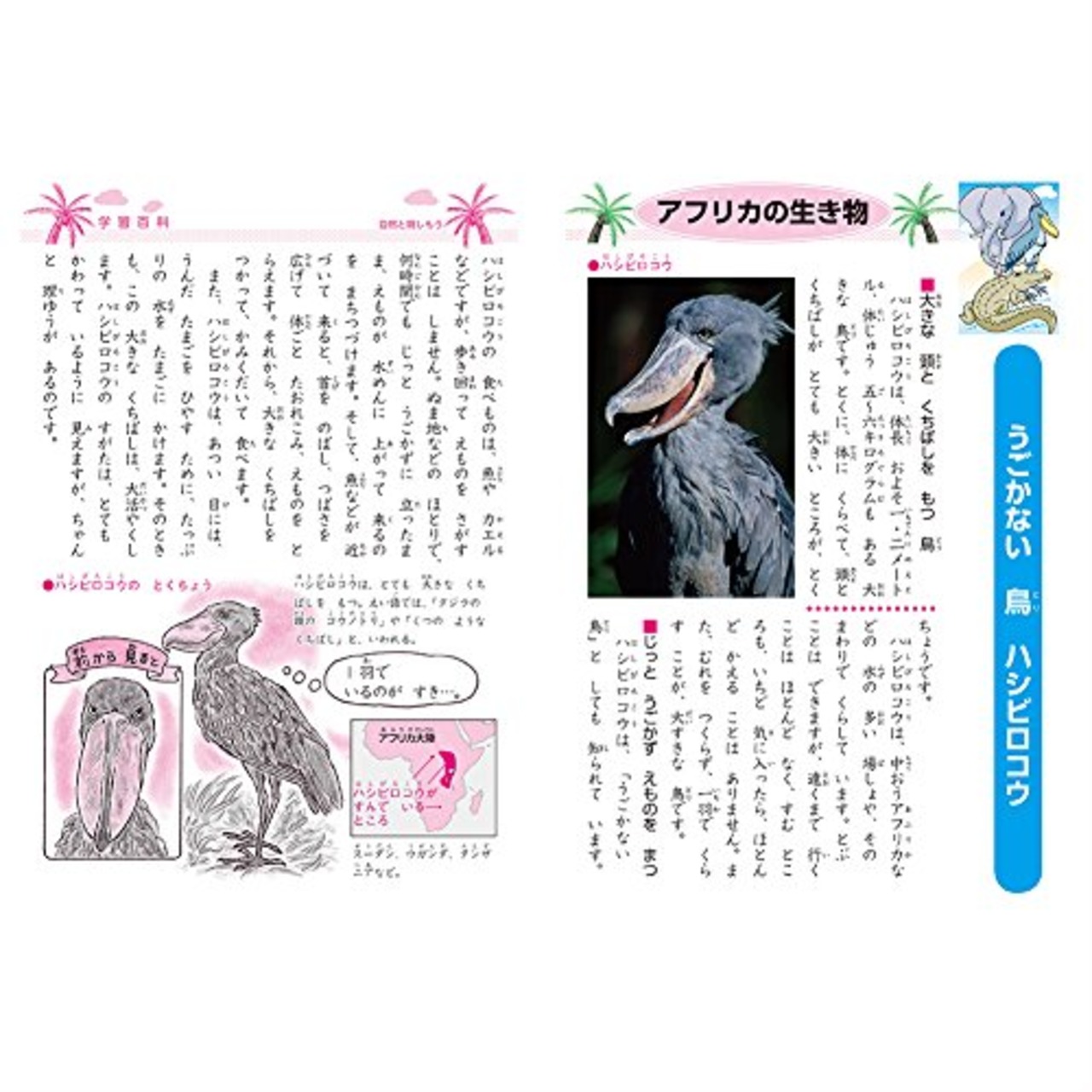 ショウワノート 学習帳 ジャポニカ 自由帳 白無地 B5 5冊パック JL-72*5