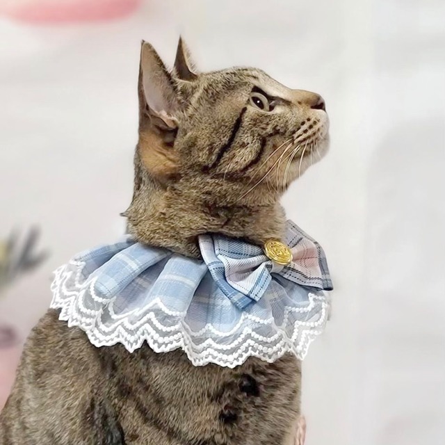 【予約】チェックリボンスタイ