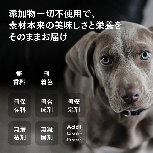 maskota 大人気 無添加 手作り 国産 彩りミックスチップス  犬  ペットおやつ