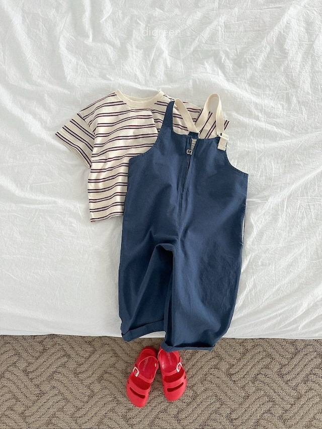 〘予約〙digreen / nova overalls
