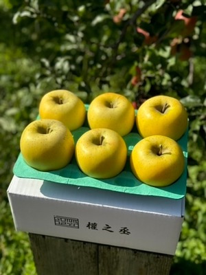シナノゴールド家庭用　2㎏