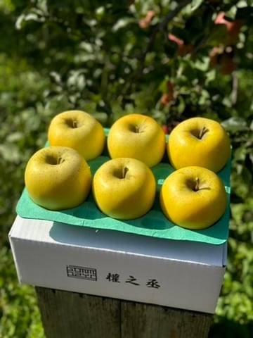 シナノゴールド家庭用　2㎏