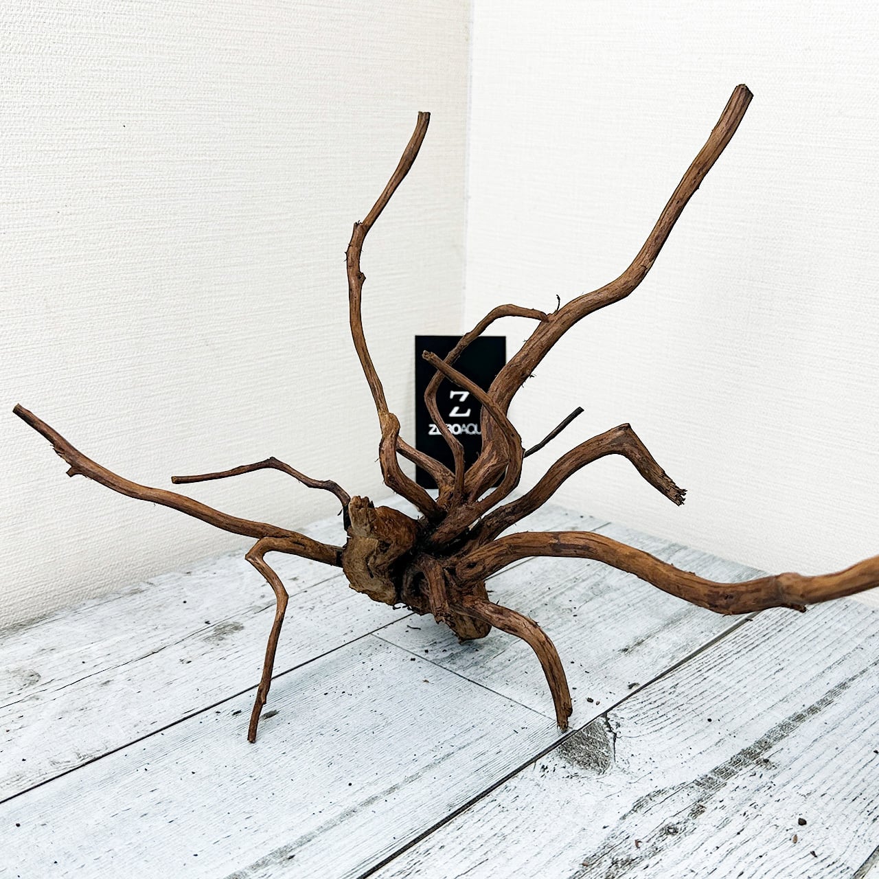 広がる枝が魅力】プレミアムブランチウッド/Branchwood 【B002