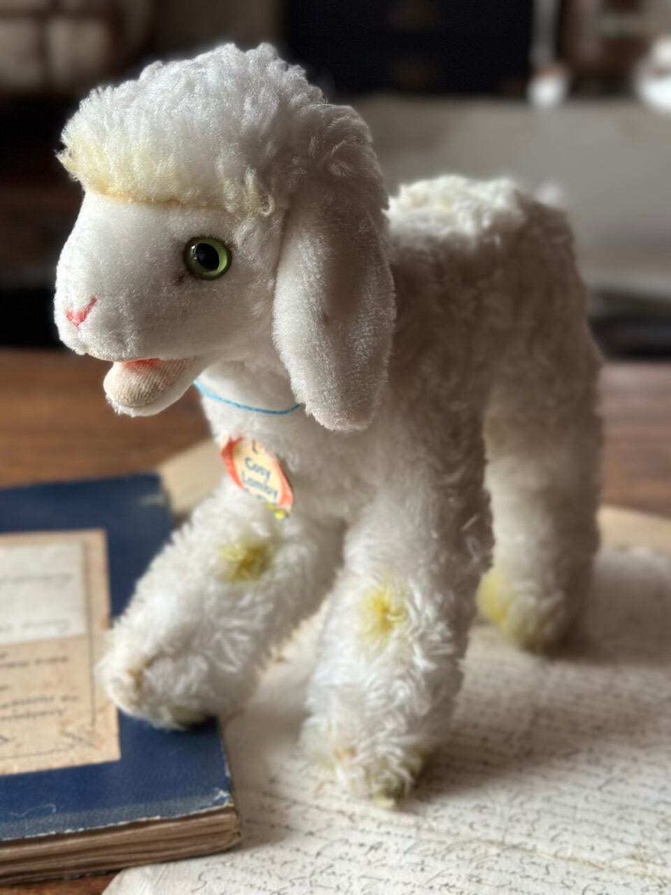 羊のぬいぐるみ Steiff(シュタイフ社製) Cosy Lamby | Brocante de La