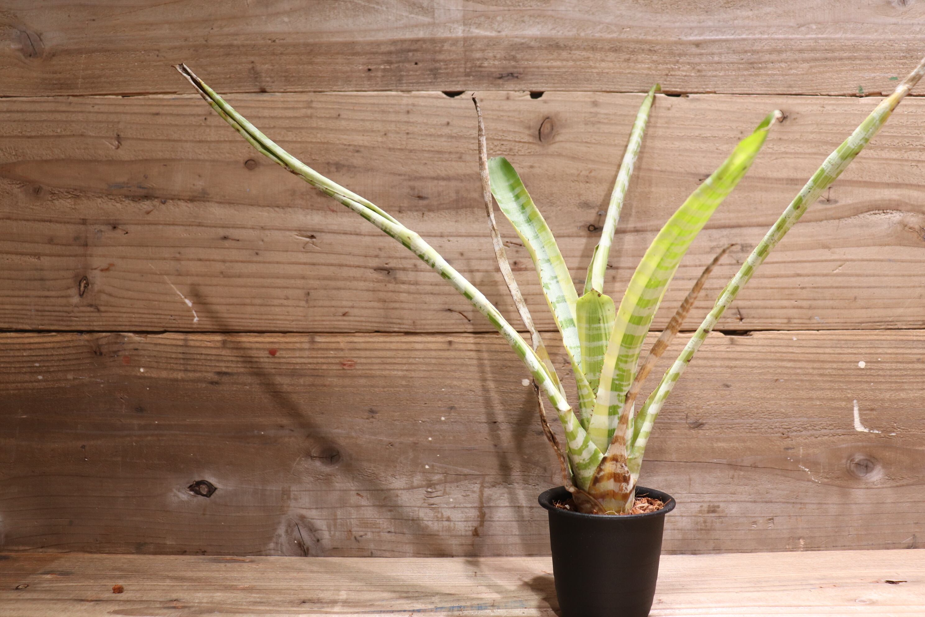 d333575c1fdcdf7b23692eca85c22b