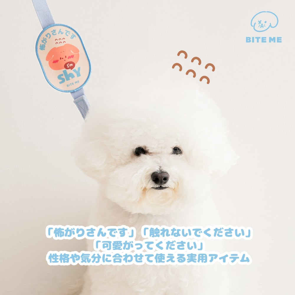 BITEME お散歩メッセージワッペン 散歩 ペット 犬 バイトミー BITE ME